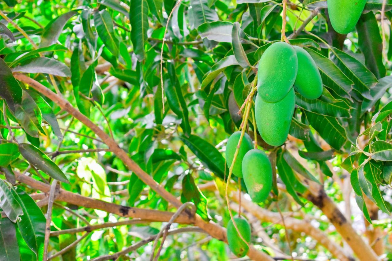 Thuru Sisila Resort Anuradhapura Eksteriør bilde